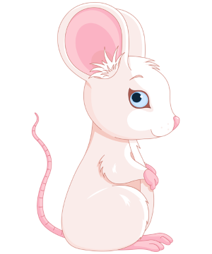 a cute white mouse